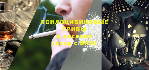 дмт Алексин