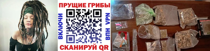 магазин продажи Менделеевск Галлюциногенные грибы мицелий